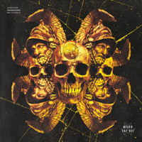Kompany - Skullcrack (Explicit)