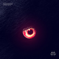 Wooli and MARAUDA featuring Travis Richter - Elephant March