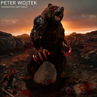 Peter Wojtek - Aggressive Sentinels