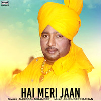 Sardool Sikander - Hai Meri Jaan - Single