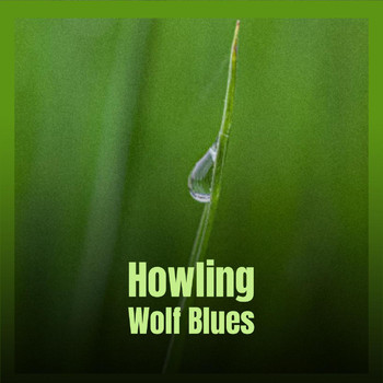 Various Artist - Howling Wolf Blues