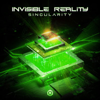Invisible Reality - Singularity