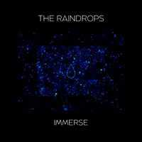 The Raindrops - Immerse