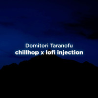 Domitori Taranofu - chillhop x lofi injection