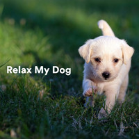 Sleepy Dogs, Dog Music Club, Dog Relaxation - Relax My Dog