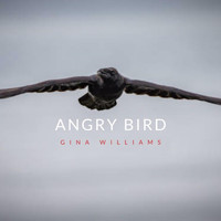Gina Williams - Angry Bird