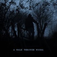 Bird Radio - A Walk Through Wooda