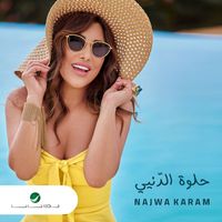 Najwa Karam - Helwe El Denye