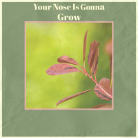 Various Artist - Your Nose Is Gonna Grow