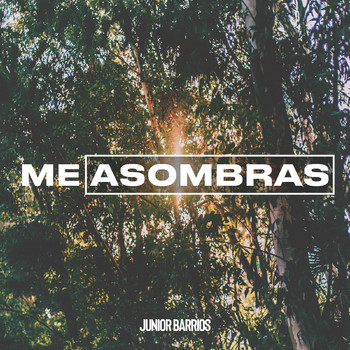 JUNIOR BARRIOS - Me Asombras