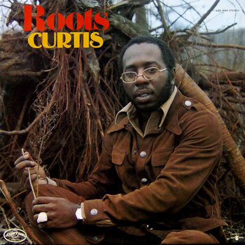 Curtis Mayfield - Roots