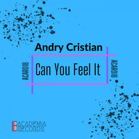 Andry Cristian - Can You Feel It