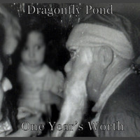 Dragonfly Pond - One Year's Worth