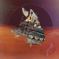 Danny Mac - Coyotes