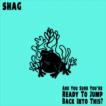 Shag - Are You Sure You're Ready to Jump Back into This?
