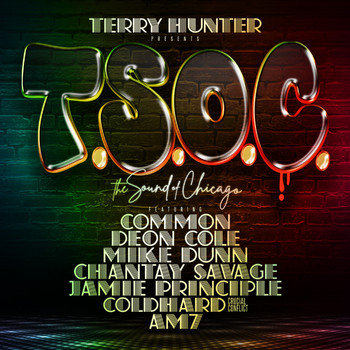 Terry Hunter - T.S.O.C. (feat. Common, Mike Dunn, Deon Cole, Chantay Savage, Coldhard, AM7, Jamie Principle)