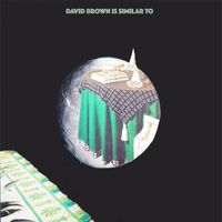 David Brown - Blink Control