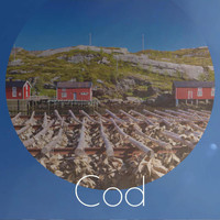 Verny Frankk - Cod