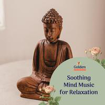 Various Artists - Soothing Mind Music for Relaxation