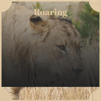 Sani Vion - Roaring