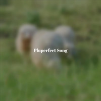 Soili Dava - Pluperfect Song