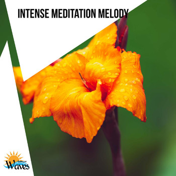 Various Artists - Intense Meditation Melody