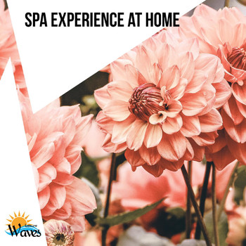 Various Artists - Spa Experience at Home