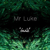 Mr Luke - Énalé