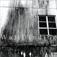 IZZ - WallDInding