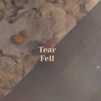 Various Artist - Tear Fell