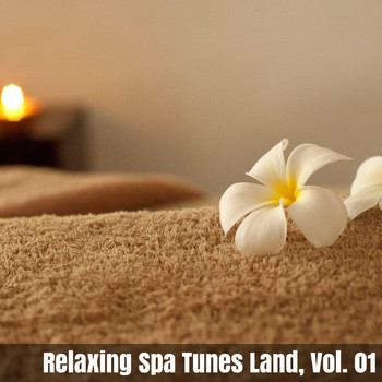 Various Artists - Relaxing Spa Tunes Land, Vol. 01