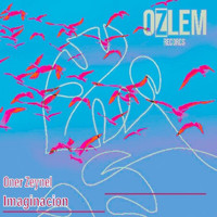 ONER ZEYNEL - Imaginacion