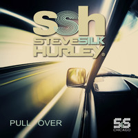 Steve Silk Hurley - Pull Over (Silk's Original Experience)