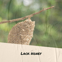 Dido - Lack Honey