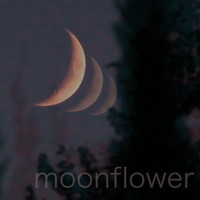 Moonflower - Crescent Awakening