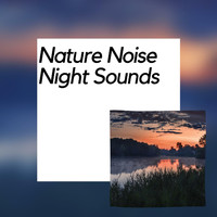 Nature Meditation Channel - Nature Noise: Night Sounds