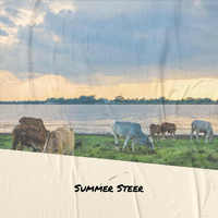 Kene Cins - Summer Steer