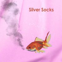 Cat Princess - Silver Socks
