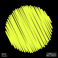 Hefe - Acadia