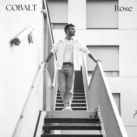 Cobalt - Rose
