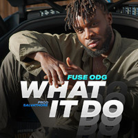 Fuse ODG - What It Do