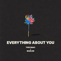 tobyMac - Everything About You