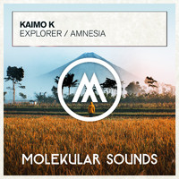 Kaimo K - Explorer / Amnesia