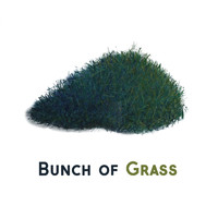 Bunch Of Grass - Bunch of Grass