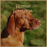 Aury Zila - Reddish Watchful