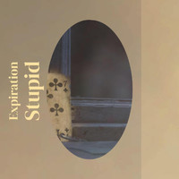 Mitchy Lman - Expiration Stupid