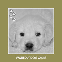 Relaxing Dog Music - Worldly Dog Calm