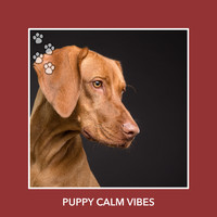 Relaxing Dog Music - Puppy Calm Vibes