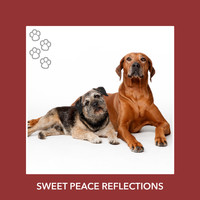 Relaxing Dog Music - Sweet Peace Reflections