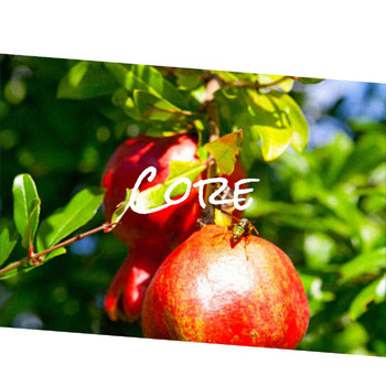 Various Artists - Core